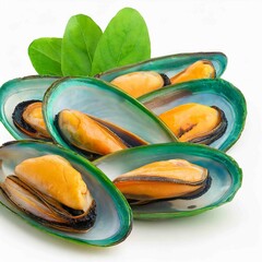 Green Shell mussels isolated on white background