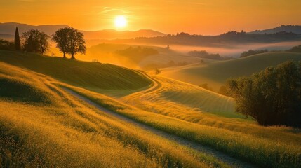 Poster - A winding path leads through a golden field at sunset, with rolling hills and a misty valley in the background.