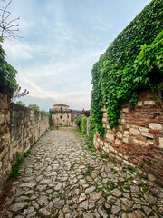 Stone pathway lined with ivy-covered walls leads to an old fortress under a soft, cloudy sky. the serene atmosphere captures a moment of timeless beauty and peaceful isolation in a historical setting.