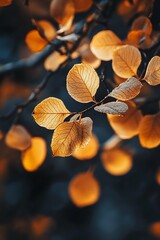 Canvas Print - Golden autumn leaves on a branch with a blurred background of leaves