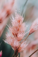 Poster - Pink flower with water droplets, close up macro photography