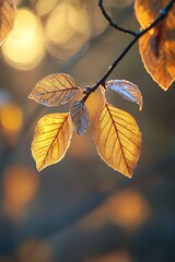 Poster - Golden Autumn Leaves with Bokeh Background