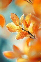 Sticker - Close up of golden autumn leaves with soft focus background