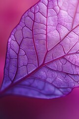 Canvas Print - Closeup of a purple leaf with intricate veins, showcasing the beauty of nature