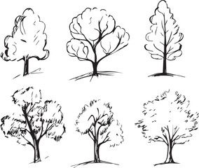 Silhouette tree set. Side view, set of graphic trees elements outline symbol for architecture and landscape design drawing. Hand drawn vector illustration	