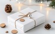© Arnon  Parnnao - Christmas gift wrapped in white paper with decorative elements on a soft background.