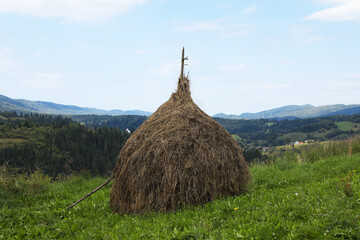 Wall Mural - Pile of hay on field in mountains