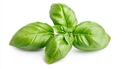 Fresh green basil leaves on a white background isolated close-up Generative AI