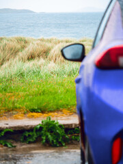 Wall Mural - a blue car is parked on the side of a road next to a grassy field with tall grass on a dune and ocea