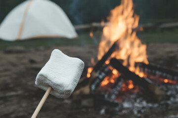 Wall Mural - A marshmallow is being held over a fire