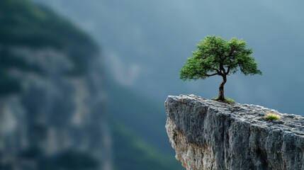 Canvas Print - A small tree is growing on a rocky hillside