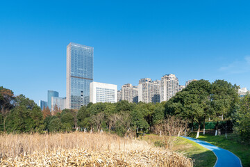 city park with modern building background in shanghai