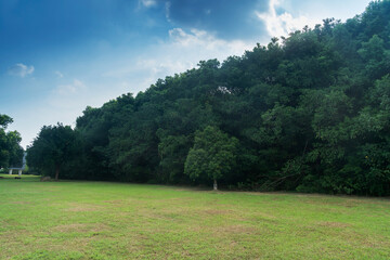 Beautiful panorama of green city park