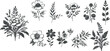 © Md Hafijul - A collection of hand-drawn botanical illustrations featuring various plants, including a hibiscus flower, sprigs, and delicate blooms, black and white style.