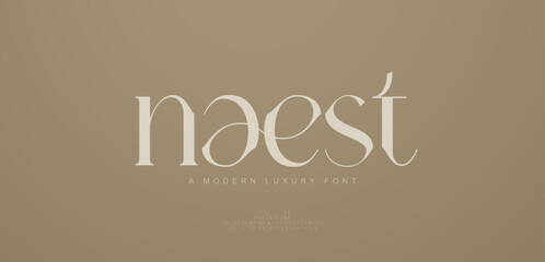 Aufkleber - Elegant modern alphabet letters font logo. Typography luxury classic lettering serif italic fonts wedding vintage retro logos. vector illustration