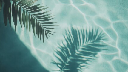 Wall Mural - Gentle palm leaf shadows create a serene pattern on the sparkling water of a pool under warm midday sunlight