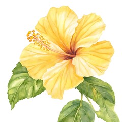 Sticker - Watercolor Painting of a Yellow Hibiscus Flower with Green Leaves.