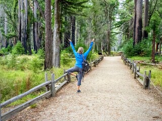 Rear view of a woman raising her arms in the yoga tree pose, while on a path in a redwood forest.
