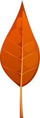 Poster - Cartoon autumn leaf with a vibrant orange color, smooth and symmetrical shape, prominent veins and a slender stem, capturing the essence of fall season. Isolated vector tree or plant foliage