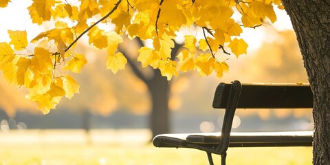 Poster - Stunning autumn landscape with golden leaves in the park, perfect for a copy space image.  