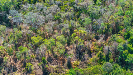 Wall Mural - Aerial view Phuoc Buu Nature Reserve at Ba Ria Vung Tau. Concept travel trip in Vietnam nature beautiful landmark.