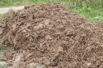 Heap of compost fertilizer on field