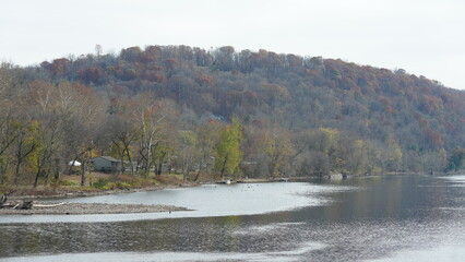 The colorful forest view in the natural park with the running river nearby in autumn
