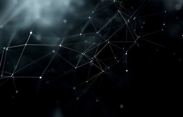 Leinwandbilder - A black and white image of a web of lines and dots. The image is abstract and has a sense of complexity and depth