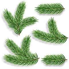 Set of 3d realistic evergreen pine tree branches for a Christmas decor. Vector illustration. Green needles for winter xmas holiday celebration.