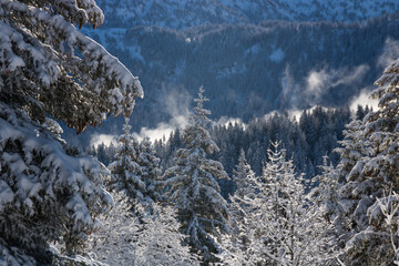 paysage alpin, alpes, chamrousse en hiver après chutes de neige, paysage, nature