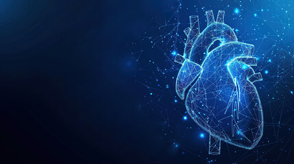 Human heart anatomy made by low-poly futuristic blue  background
