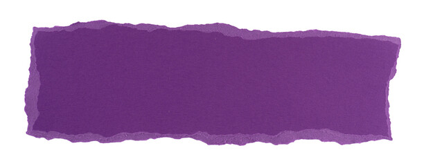 Poster - purple torn paper in a rectangle shape, frame for text or quote, grunge textured sign, label, banner paper graphic element, speech bubble isolated on a transparent background