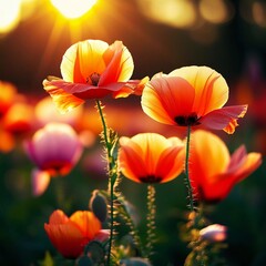 A field filled with striking red and yellow poppies captures the brilliant colors of spring as the sun sets, highlighting the blossoms vibrant glow. Generative AI