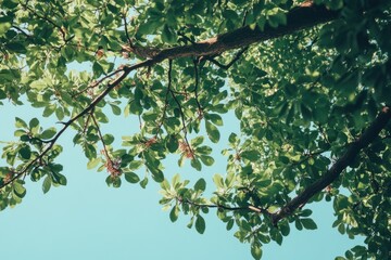 Poster - A bird perched on the branch of a tree