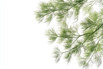 Poster - A bird is sitting on a branch of a tree, possibly waiting for food or taking a break