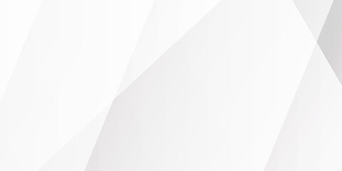 Abstract simple grey white 3D hi-tech polygonal corporate background. COLOR vector gradient abstract background design. Abstract white and gray texture line shadow shape background. white pattern. 