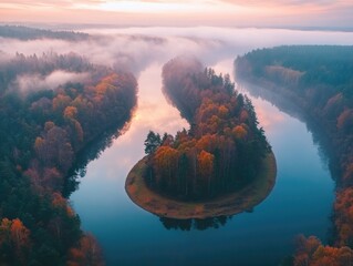 Wall Mural - River surrounded by trees from above