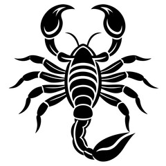 Poster - scorpion vector illustration on a white background