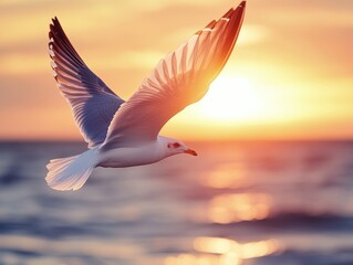 Sticker - Seagull Flying Over Ocean Sunset