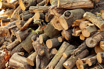 Close-up of sawn firewood stacked in a pile