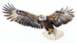 © fourtakig - An elegant eagle in mid-flight, capturing its strength and grace, set against a pure white canvas