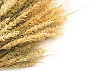 A large bouquet of wheat ears lies on a white background.	