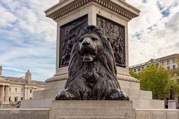 Lion sculpture at Nelson column on Trafalgar square, London, UK