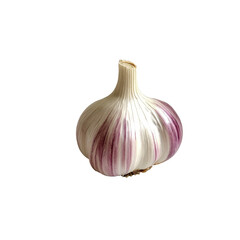 Wall Mural - A garlic bulb with purple stripes. Transparent, PNG