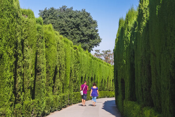 Wall Mural - View to Alhambra palace and fortress