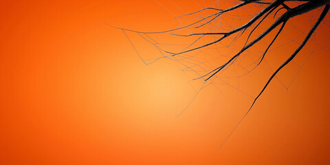  A tree branch is shown against a bright orange background
