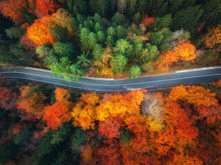Wall Mural - aerial view of mountain road and colorful forest in autumn