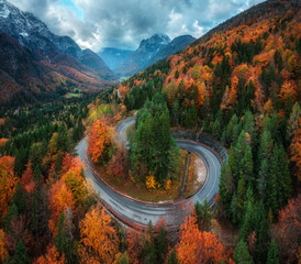 Wall Mural - aerial view of winding mountain road in forest at sunset in autumn. alps, italy. curved alpine road,