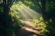 © Athena - Sunlight on a path in woodlands