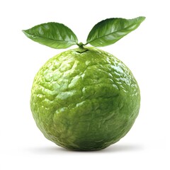 Fresh green bergamot fruit with two leaves isolated on white background.